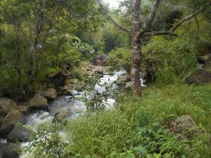 Airan Sungai dari Air Terjun Cicurug_DAS BOMPON_Sumber : Dokumentasi Pribadi